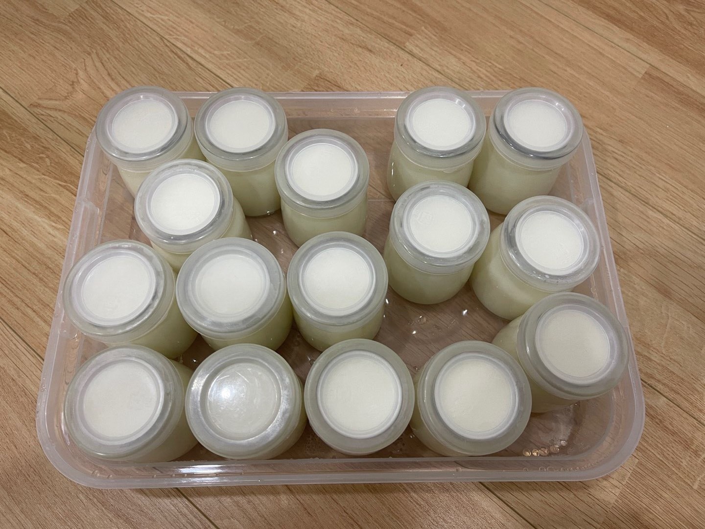 Máy Làm Sữa Chua Hương Vị Truyền Thống Hũ Thủy Tinh, Máy Ủ Sữa Chua Tại Nhà Green Line- Hàng Chính Hãng
