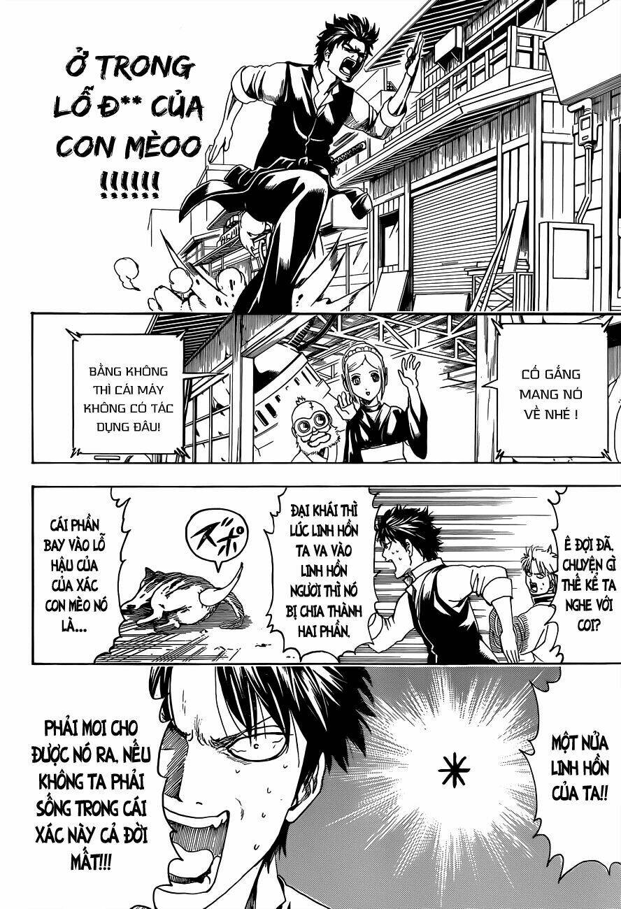 gintama - linh hồn bạc chapter 472 11