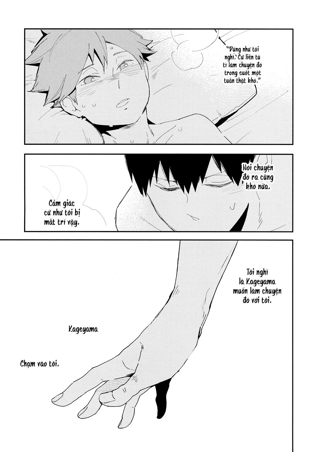 tuyển tập haikyuu dj by dammei bl chapter 19 20