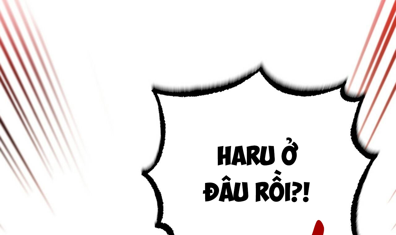 đàn thỏ của habibi chapter 50 52