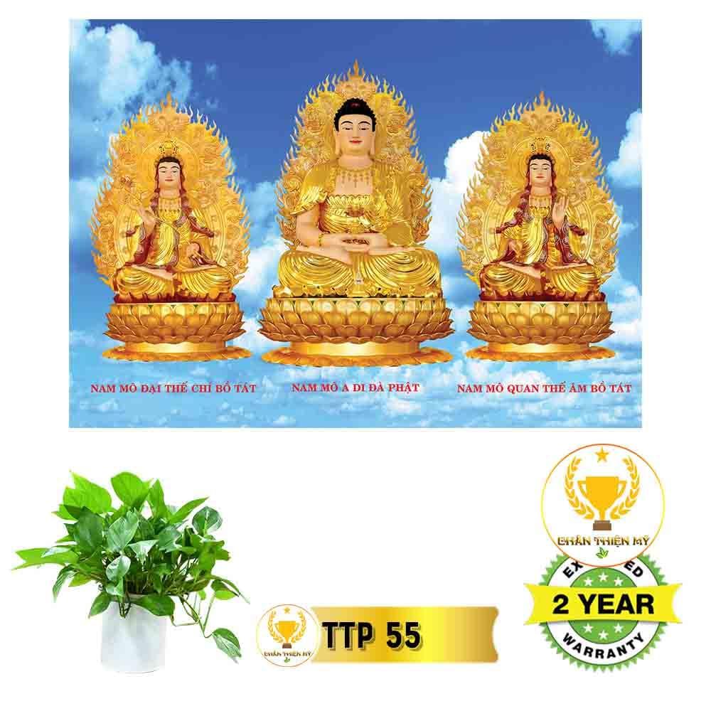 Tranh điện Tam Thế Phật_TTP5