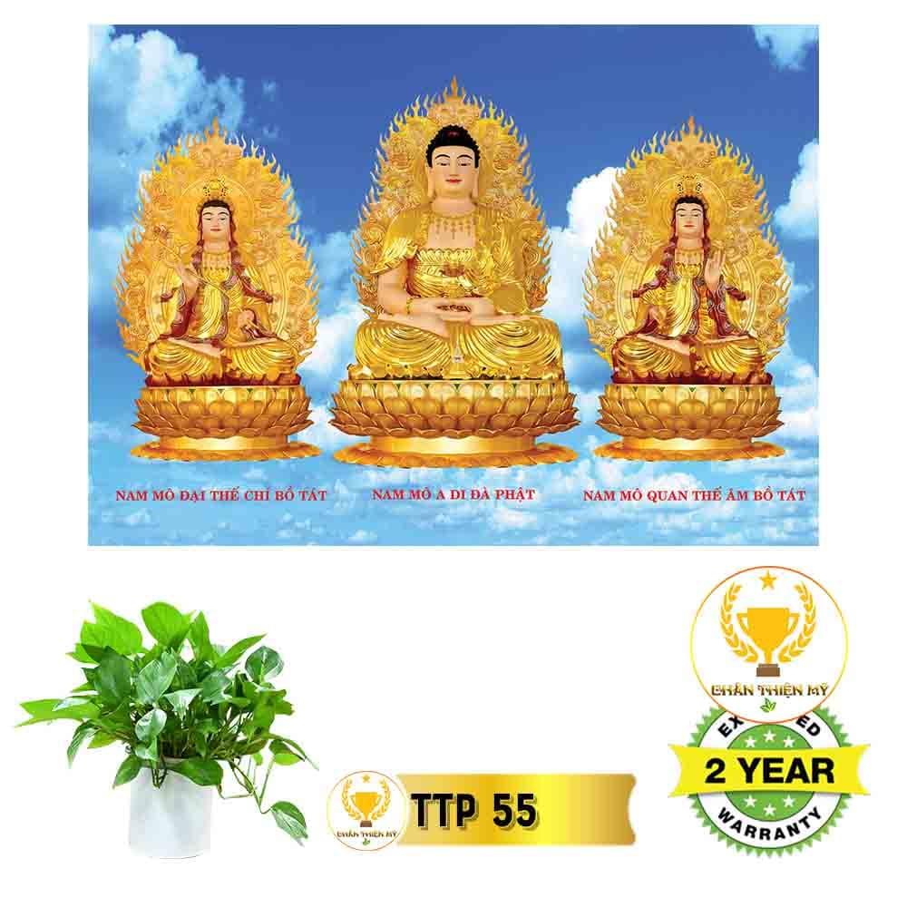 Tranh Tam Thế Phật có khung_TTPK5