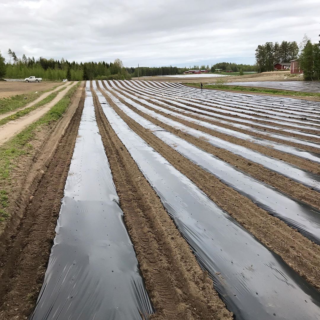 Màng phủ nông nghiệp 1x400m