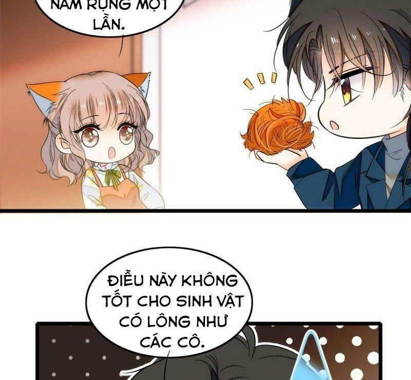 toàn mạng đều là fan cp của tôi với ảnh đế chapter 35.5 33