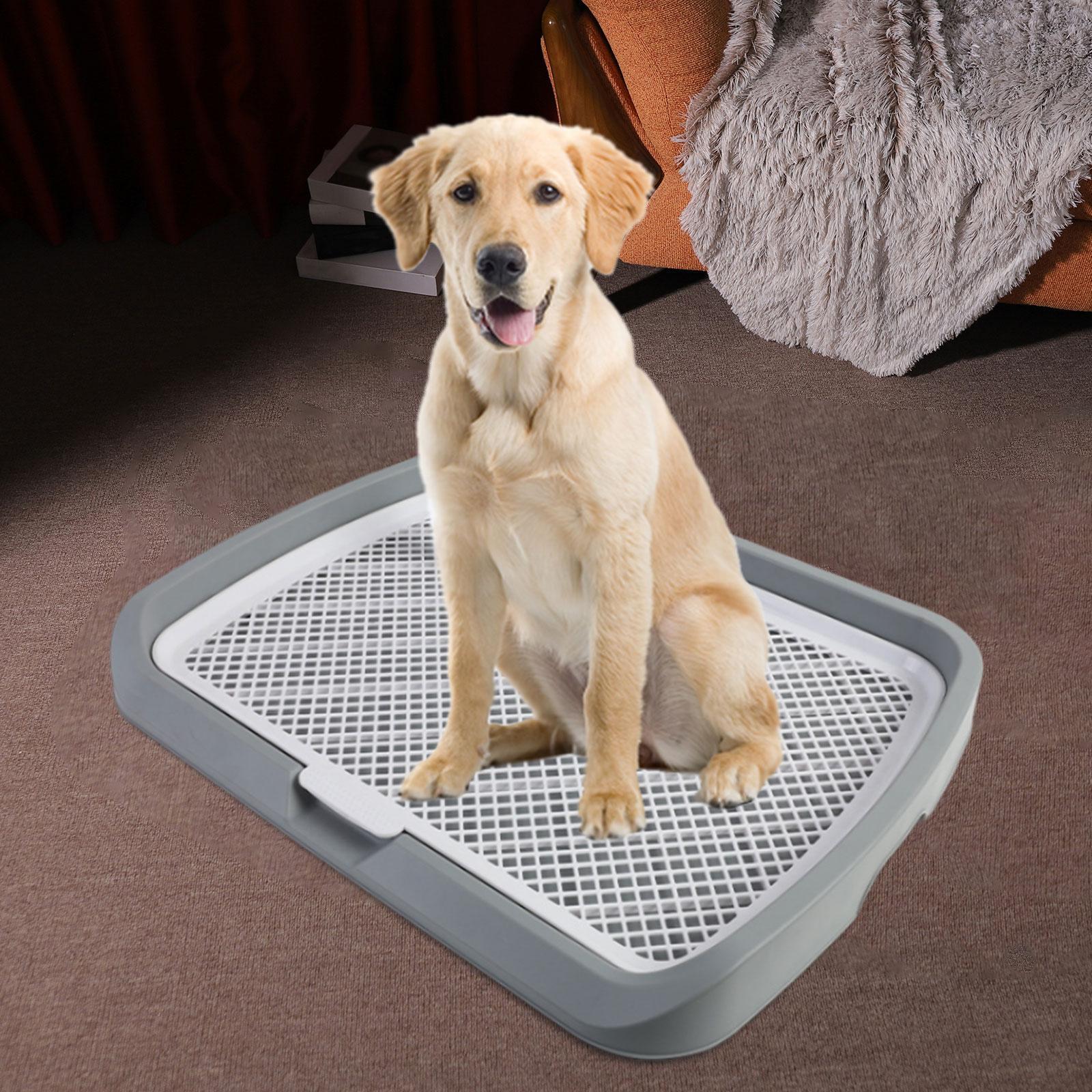 Indoor Open Top Entry Dog Litter Pan Pets Toilet Dark Gray