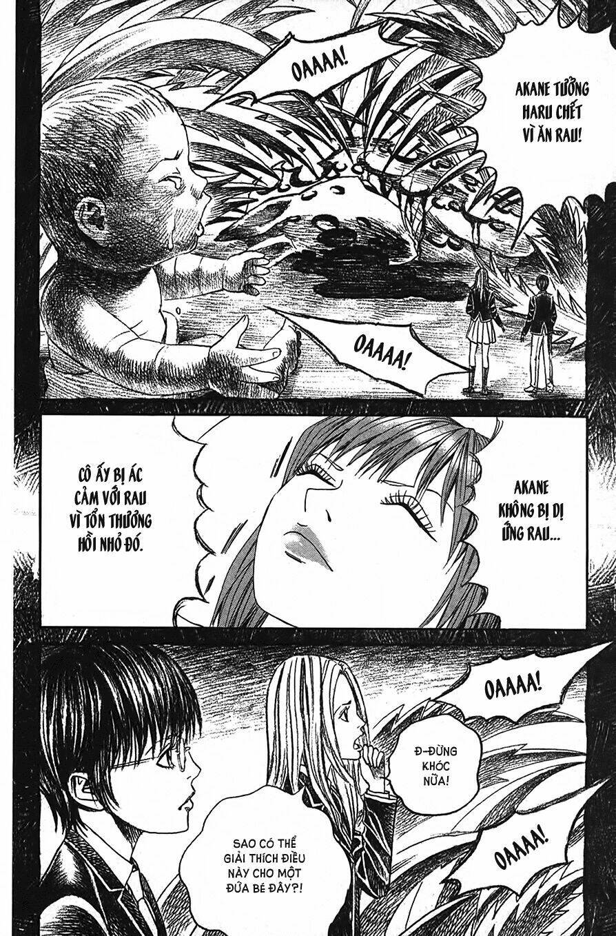 ảo ảnh picasso chapter 2 38