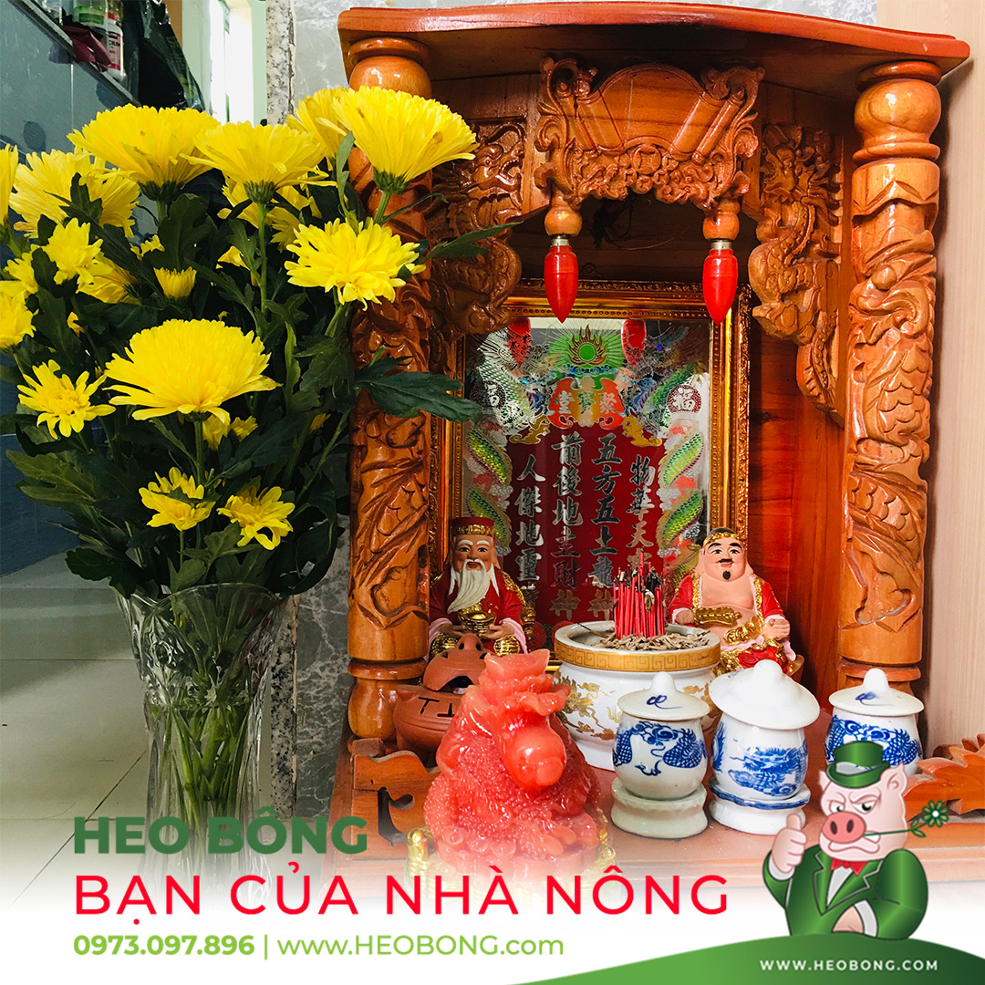 Nước Cắm Hoa Lâu Tàn Keep Flowering