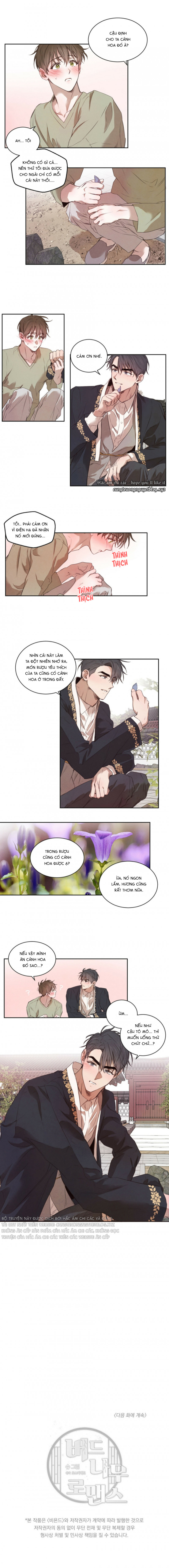 chuyện tình cây liễu chapter 12.5 2