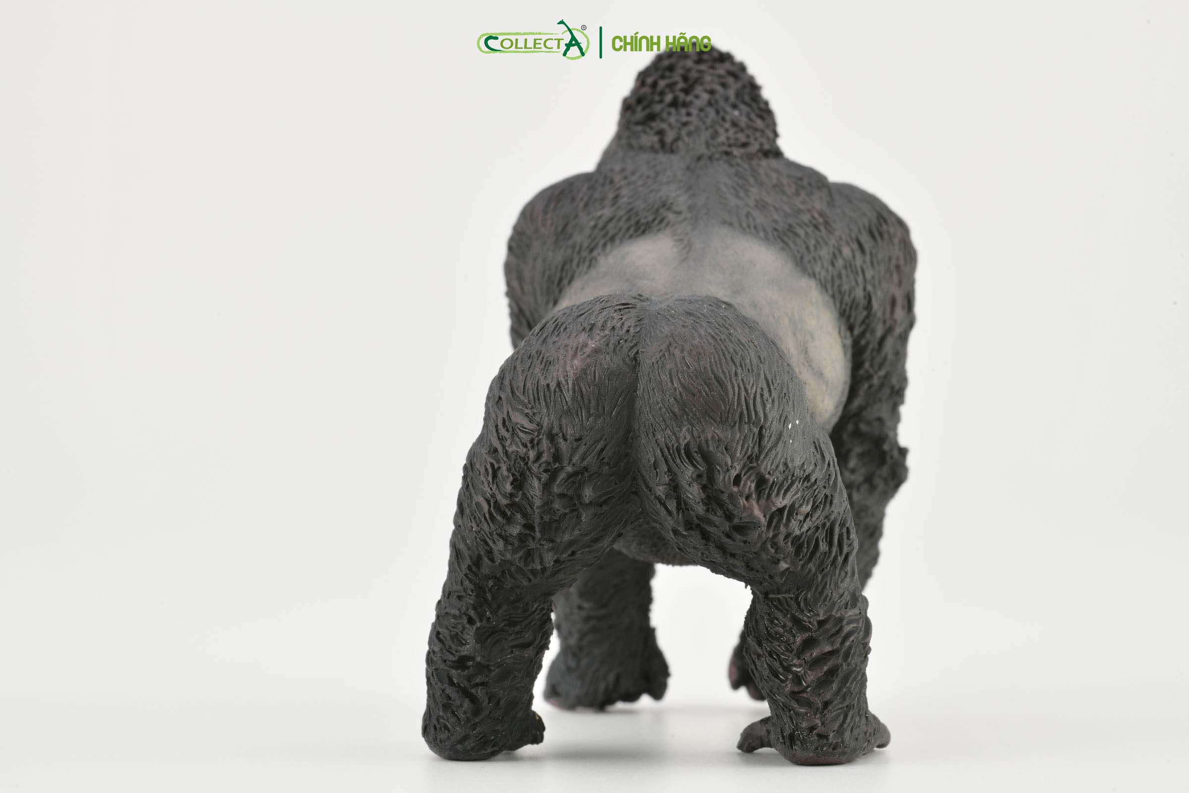 Mô hình thu nhỏ: Khỉ Đột Núi - Mountain Gorilla , hiệu: CollectA, mã HS 9651020[88899] -  Chất liệu an toàn cho trẻ - Hàng chính hãng