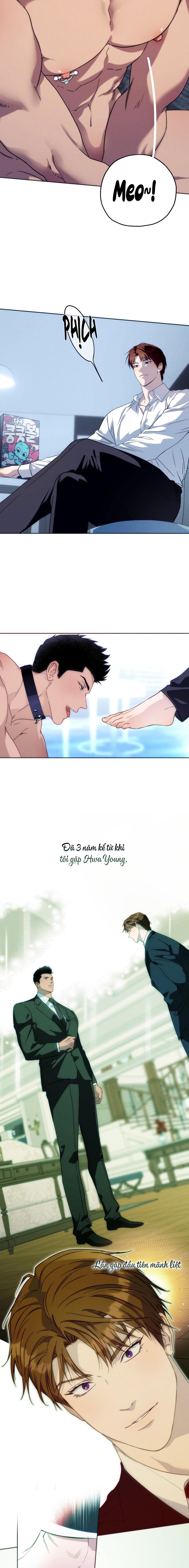 ang ang chapter 96 3