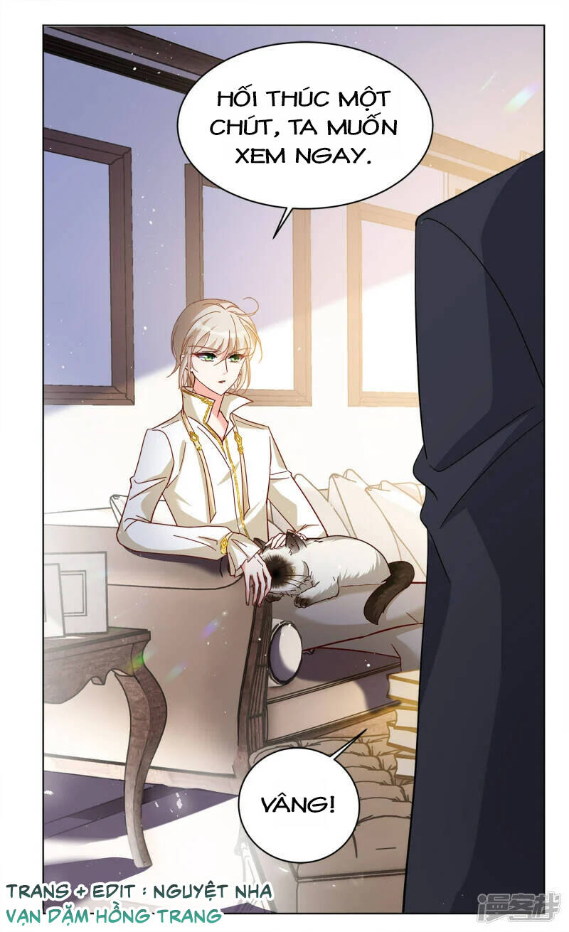 cô ấy đến rồi, xin nằm xuống! chapter 209 25