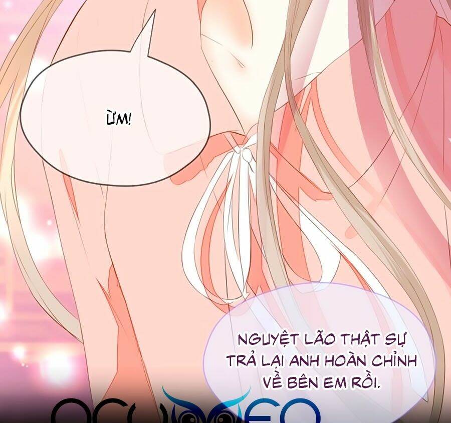 đóa hoa chớm nở chapter 75 24