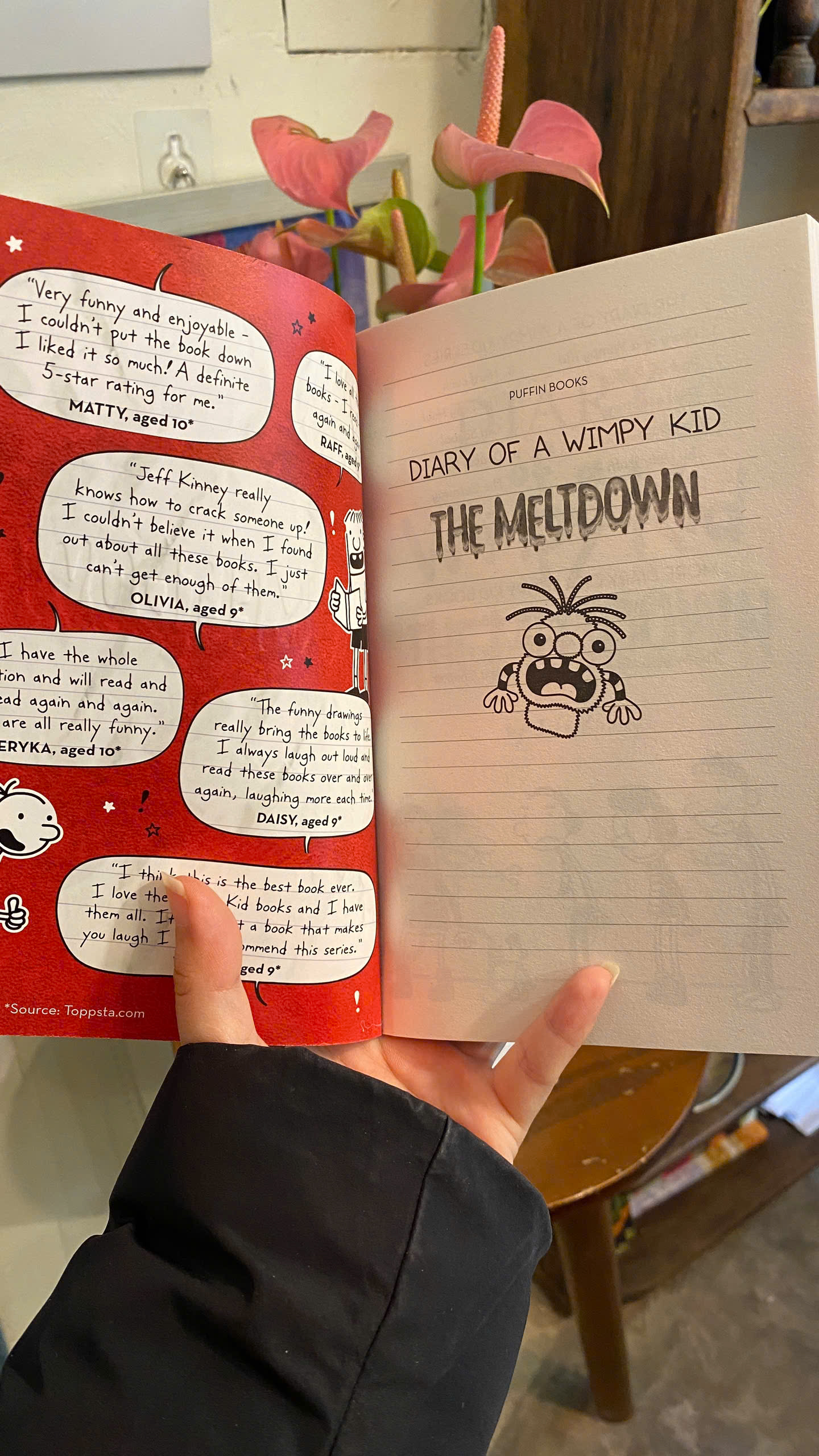 Sách - Diary of a Wimpy Kid: The Meltdown by Jeff Kinney | Children’s Book / Ngoại văn Thiếu nhi
