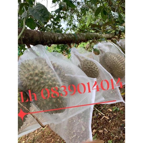1 TÚI BỌC TRÁI SẦU RIÊNG CỠ 50x70cm CƯỚC THÁI