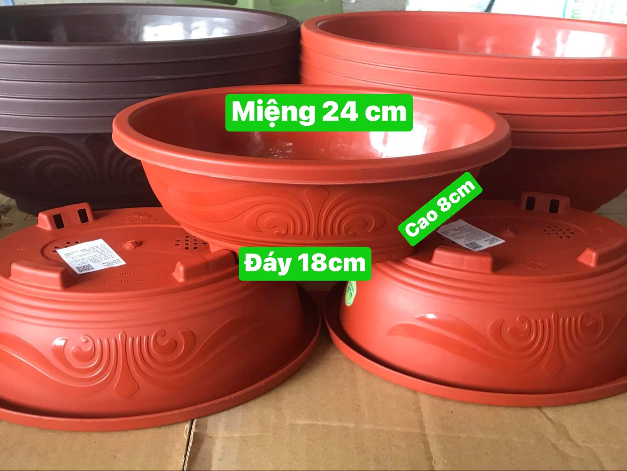Chậu Nhựa Bonsai Hình Oval, Chậu trồng cây kiểng BONSAI, cây trang trí KT 24 X 18 X8 H MÀU ĐỎ