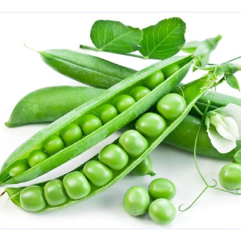 Hạt Giống Đậu Hà Lan - Gói 1Kg