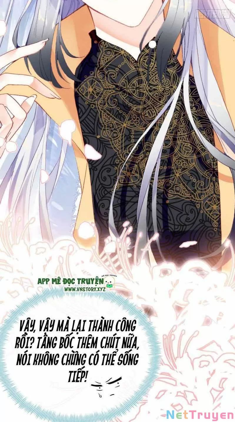 lại bị bệnh chiều chuộng quấn lấy chapter 2 19