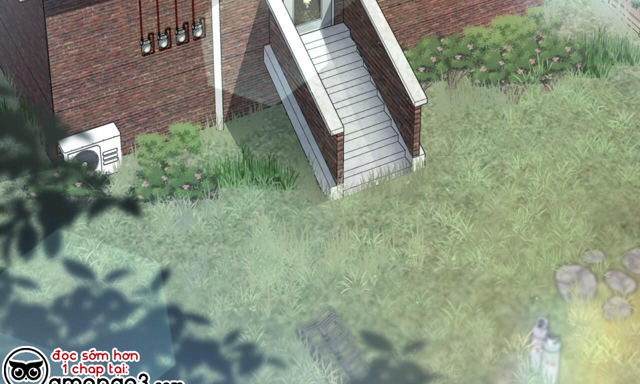 đàn thỏ của habibi chapter 42 5