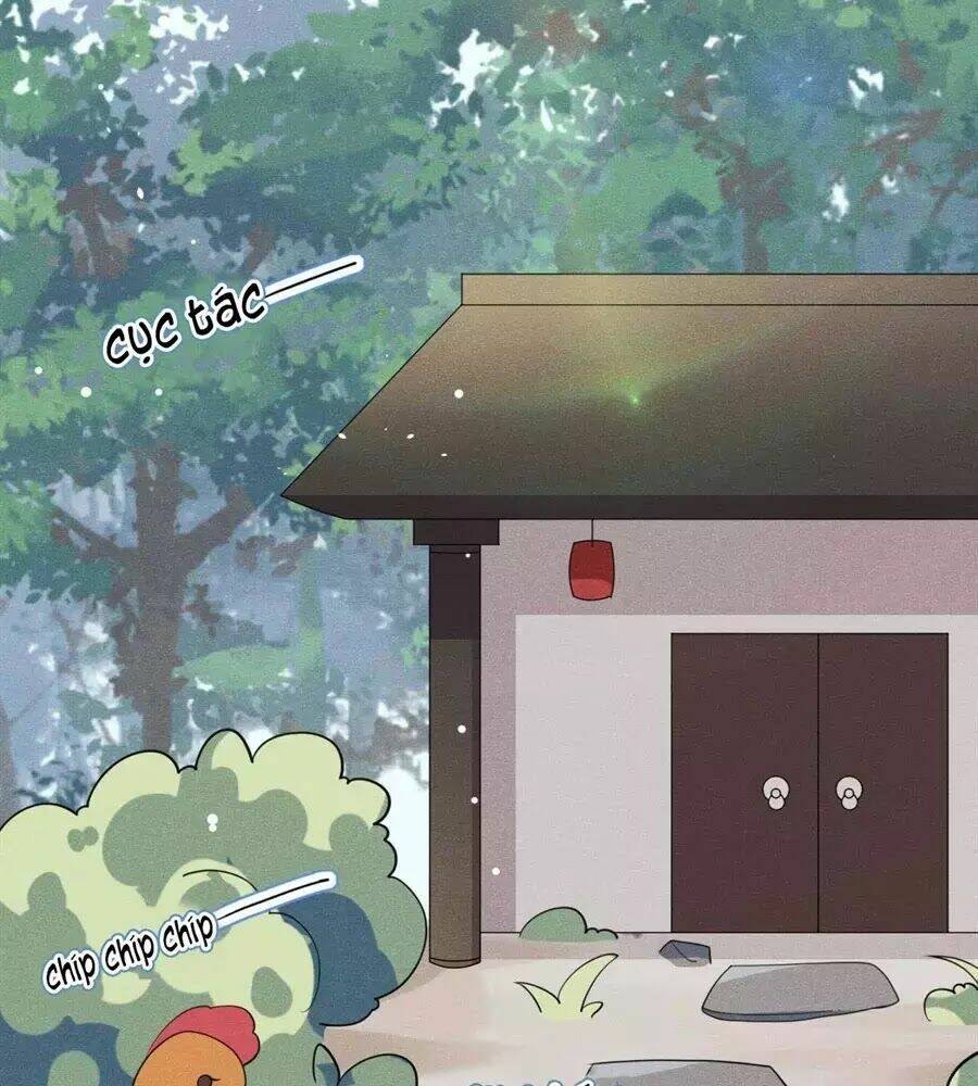 hoàng tử phu quân, ta nuôi ngươi a! chapter 17 22