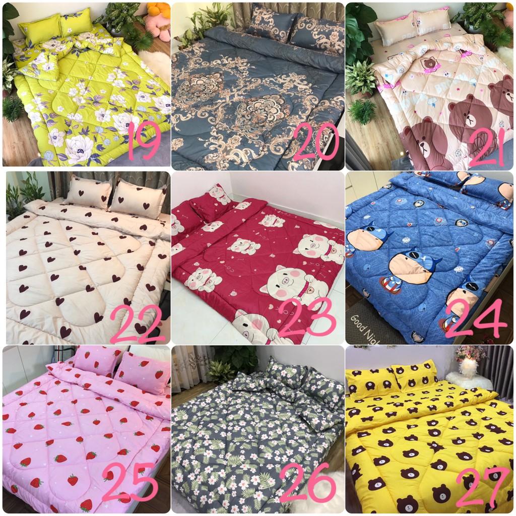 Bộ chăn phao ga gối poly cotton,được chọn mẫu,cúc họa mi vàng