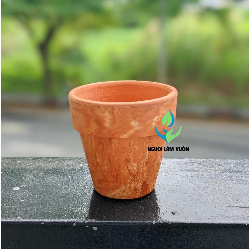 Combo 10 chậu đất nung mini kiểu ly gờ size 5x5cm họa tiết marble thích hợp trồng sen thụ mini, thạch lan, lithops