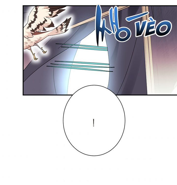 công chúa của loài chim chapter 19 66