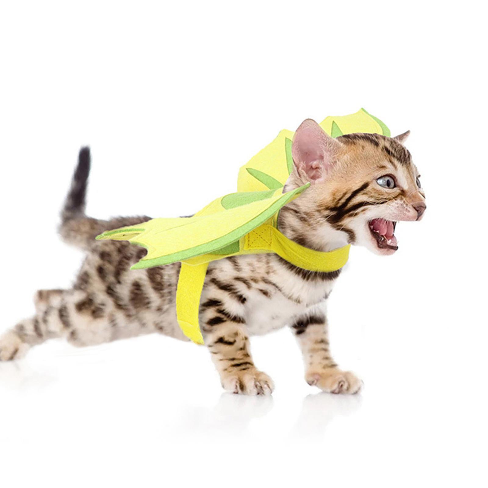 Dragon  for Cats Dinosaur Wing Kitten Animal Theme Halloween Costumes