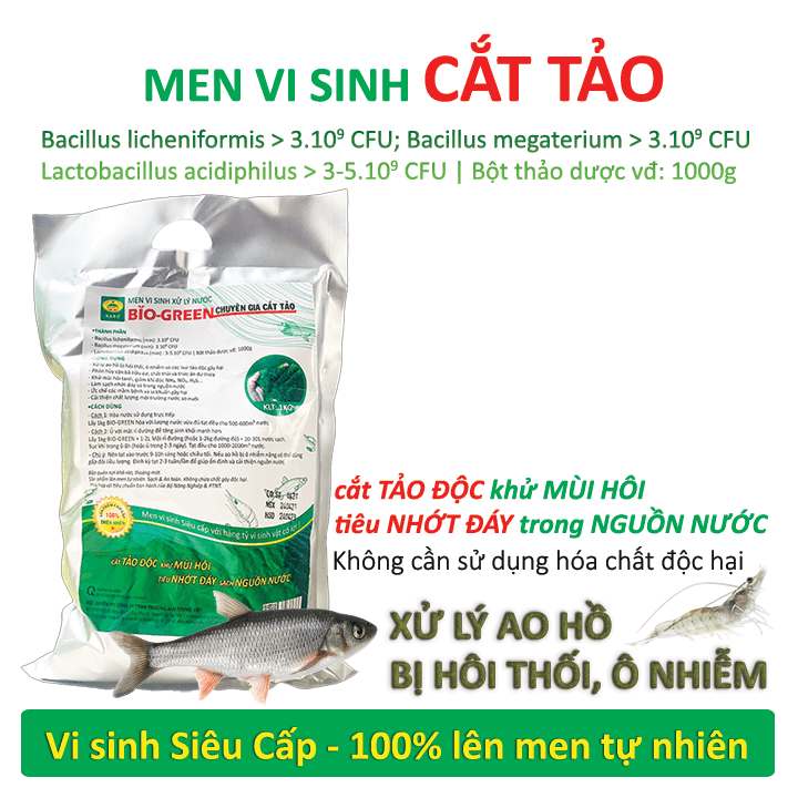 che-pham-vi-sinh-cat-tao-ao-nuôi-tôm-ca