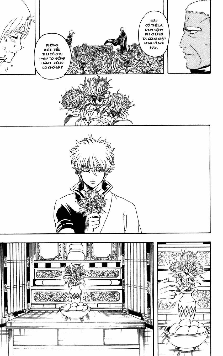 gintama - linh hồn bạc chapter 309 24