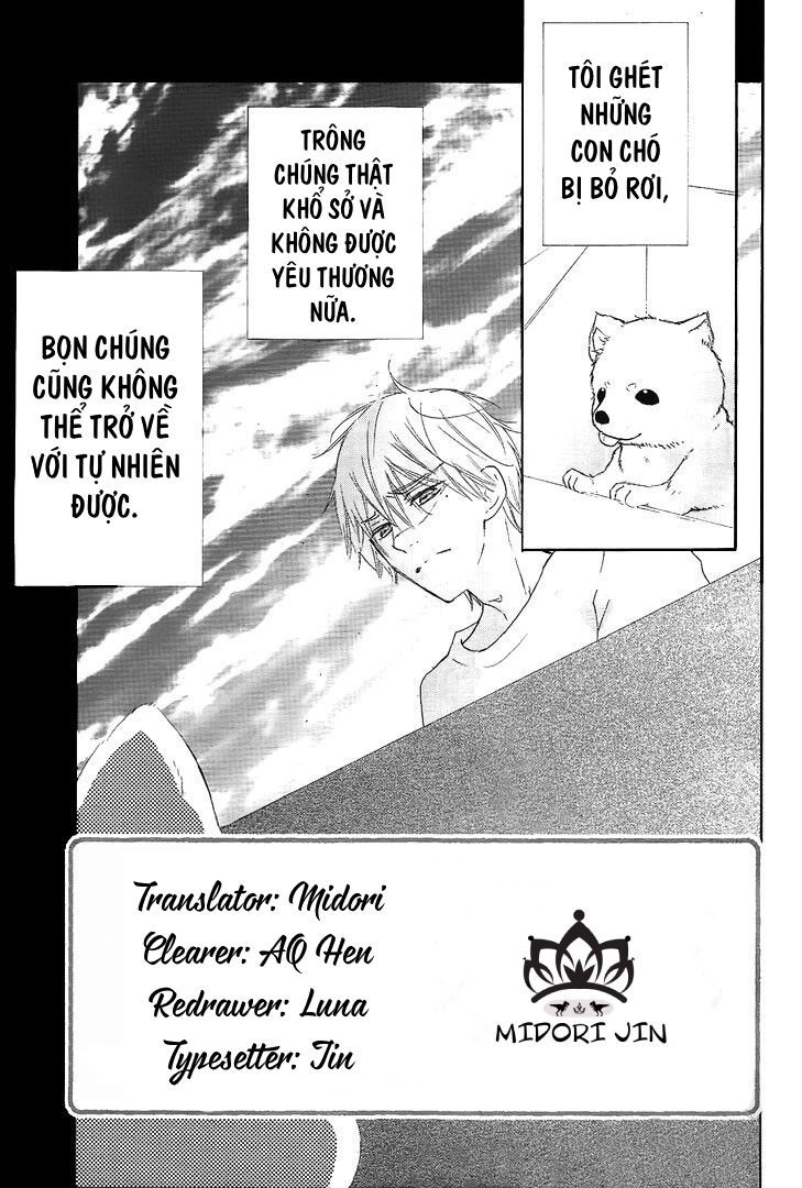 suteinu ni honey toast chapter 3 1