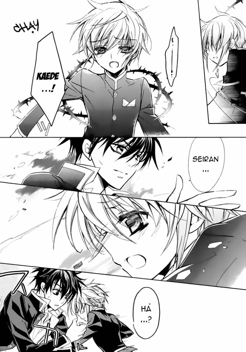 nụ hôn của công chúa tường vi chapter 11 50