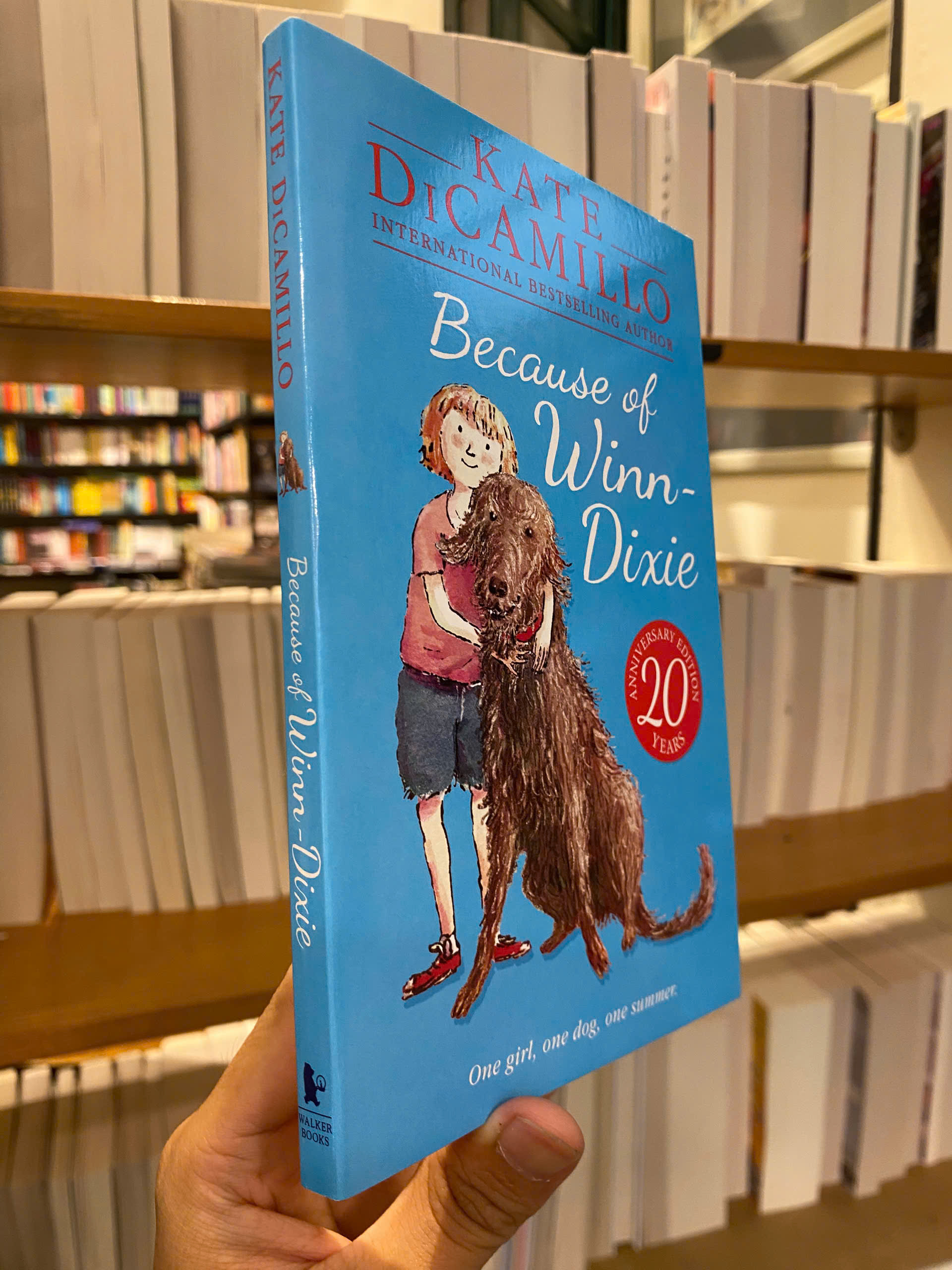 Sách - Because of Winn Dixie by Kate DiCamillo - Fiction/Childrens book in English - Ngoại Văn