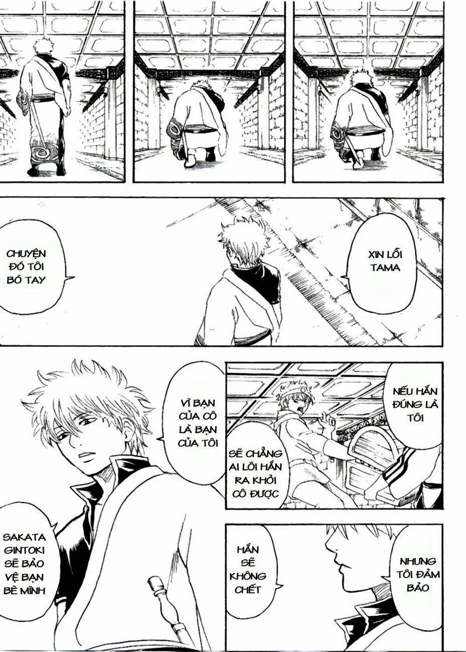 gintama - linh hồn bạc chapter 249 19