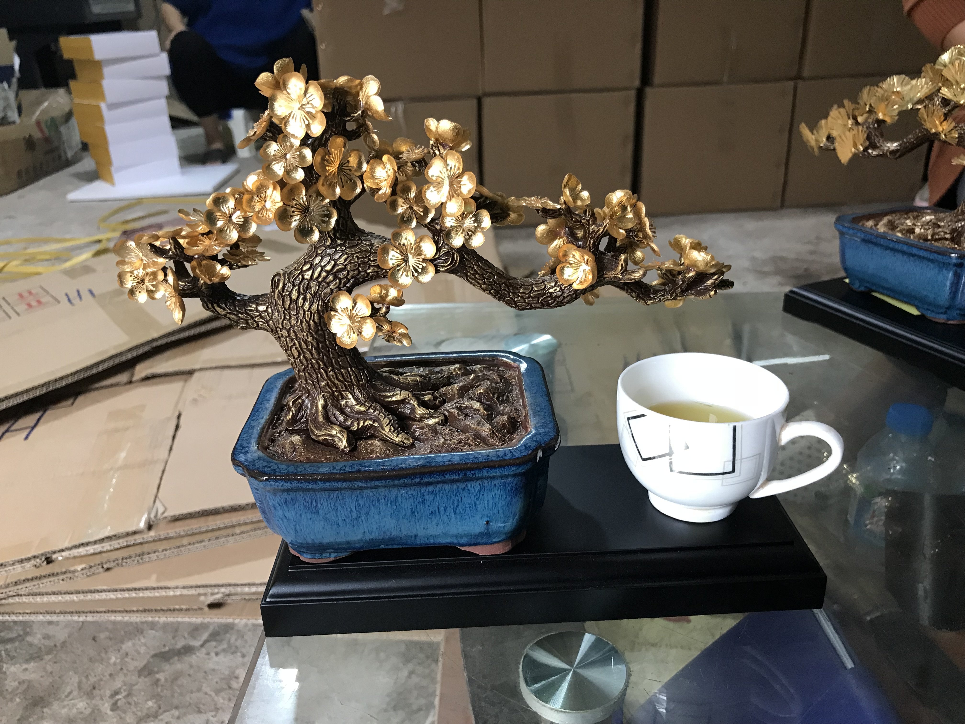Chậu cây mai ngũ phúc mạ vàng 24k