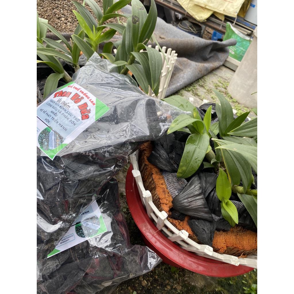 Giá thể trồng lan