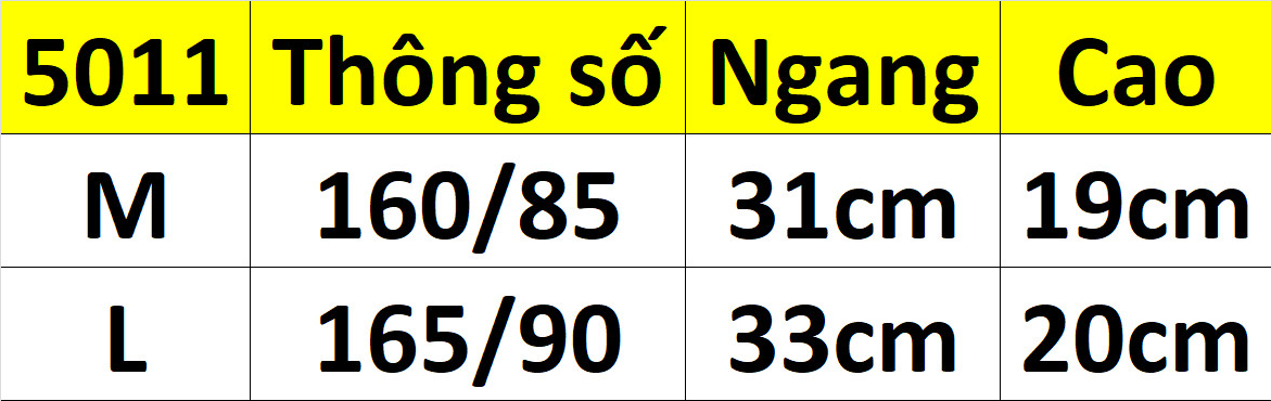COMBO 5 QUẦN LỌT KHE DÂY LƯNG ĐÔI 5011