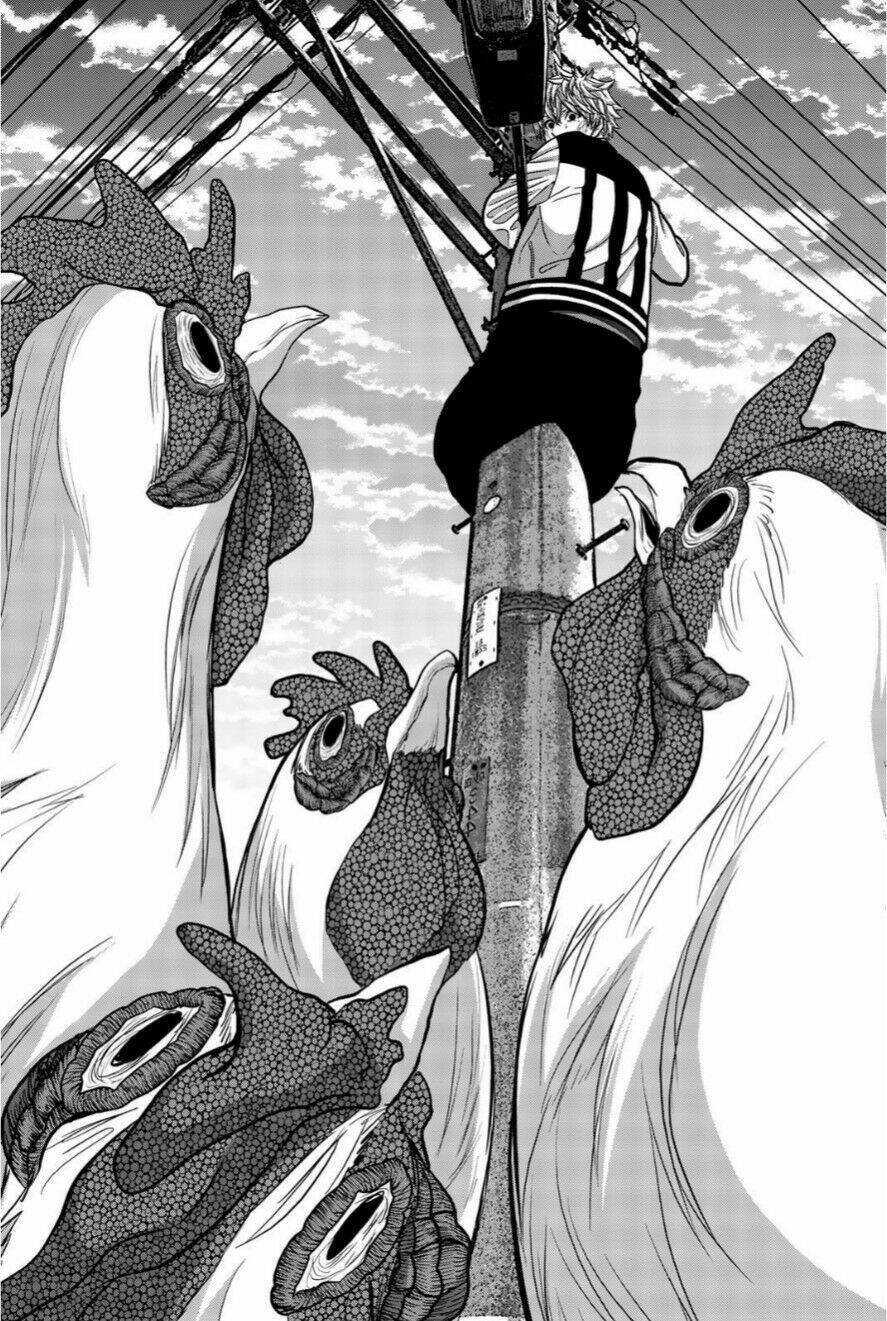 tiếng gáy sát thủ chapter 14 16