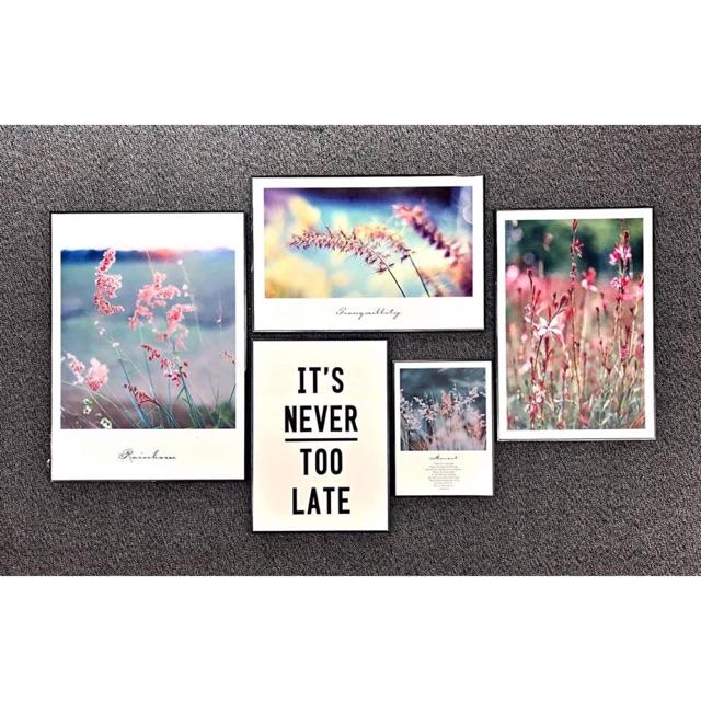 Tranh canvas decor bộ 5 bức. Kt từ 30x40cm đến 50x70cm