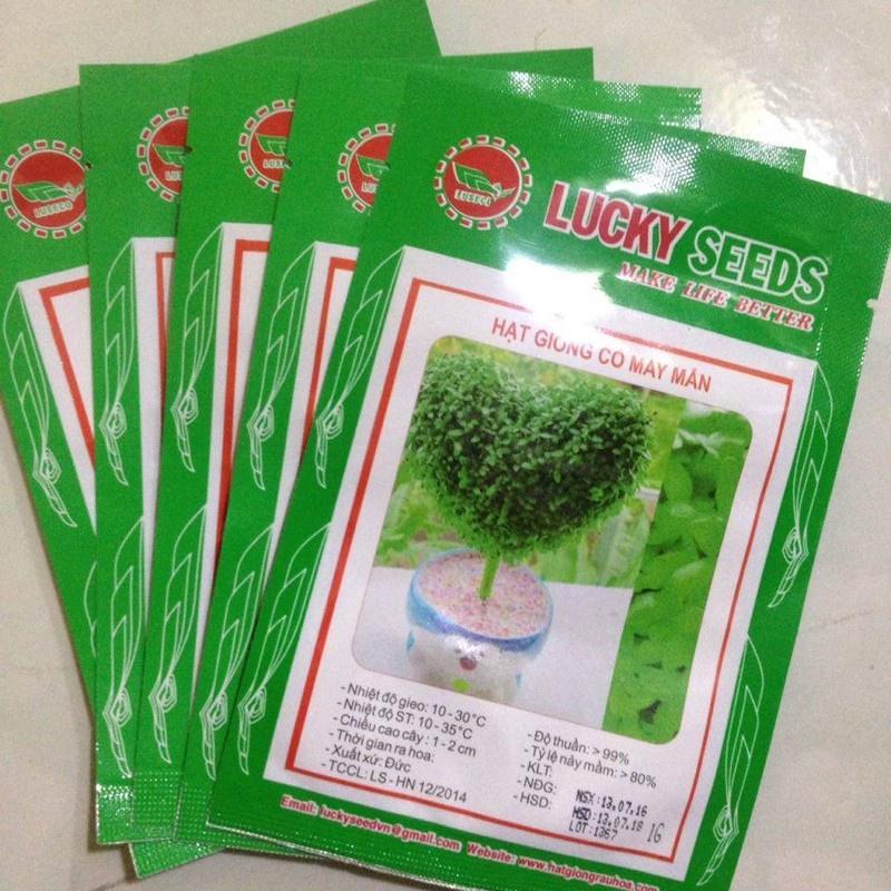 Hạt giống Cỏ may mắn - gói 1gr -fdf