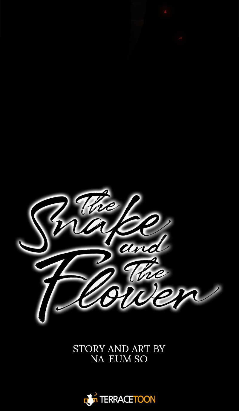 liệu rắn có ăn hoa chapter 0 52