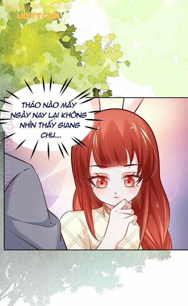 hắc hóa nam chính trực tuyến nuôi thỏ chapter 41 23