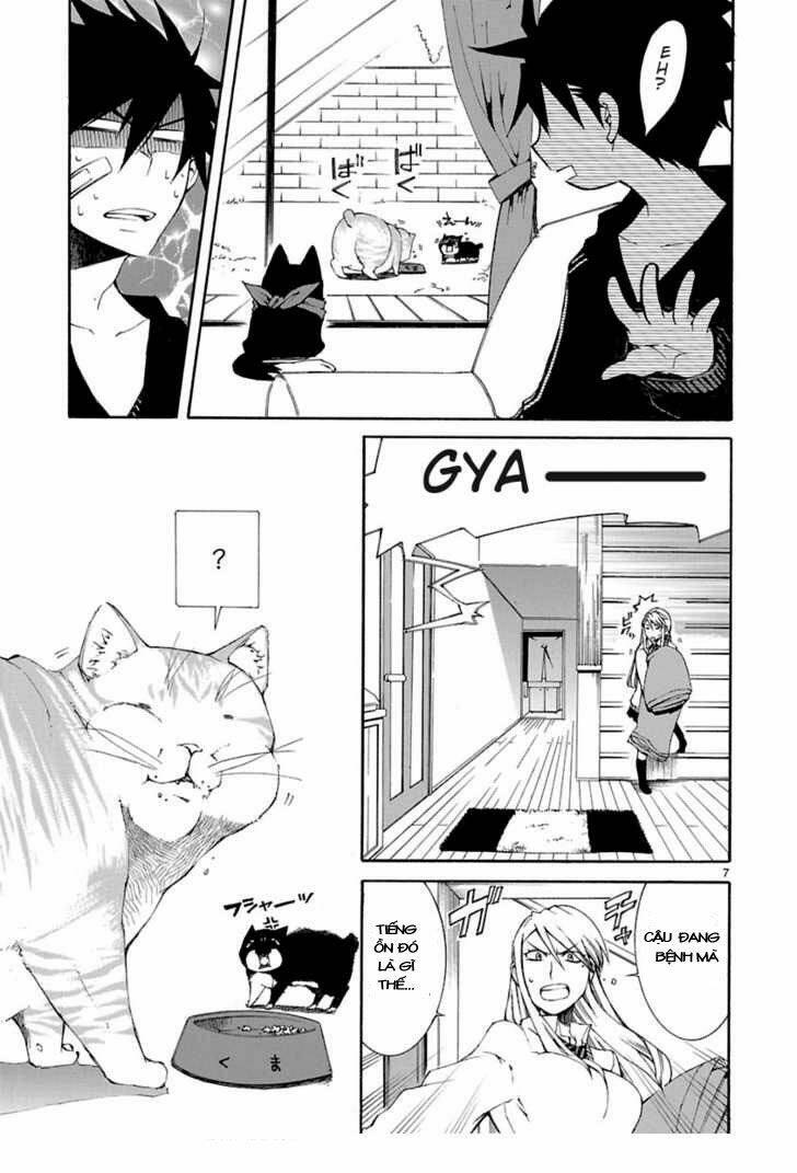 nyankoi! chapter 8 8