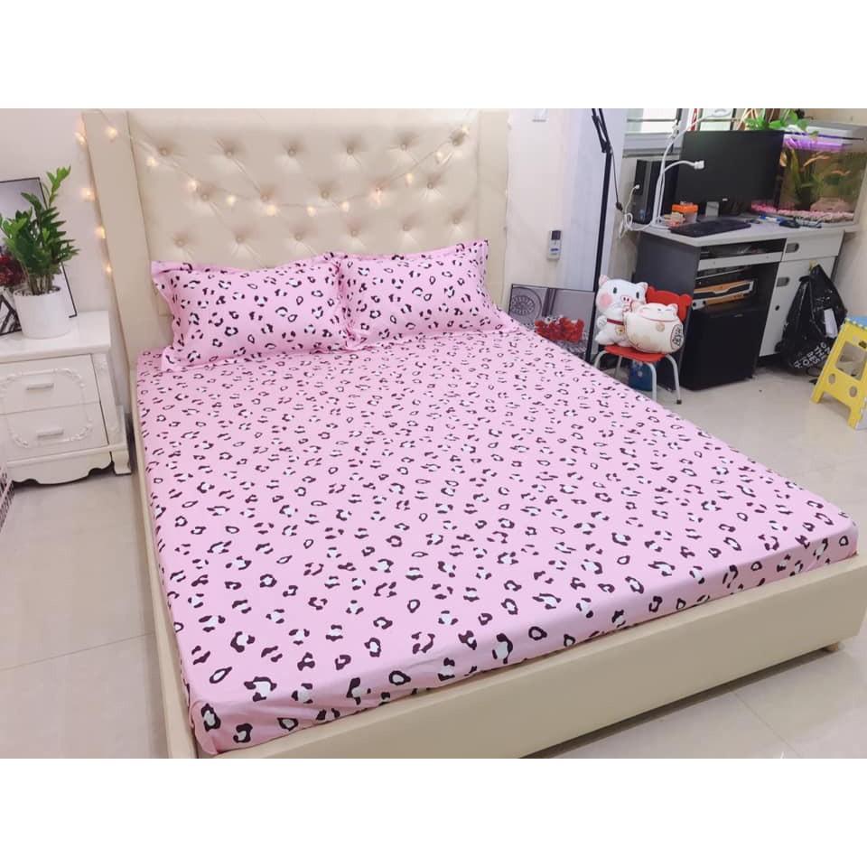 Rẻ nhất Bộ ga gối 1m4 cotton hàn quốc 100%