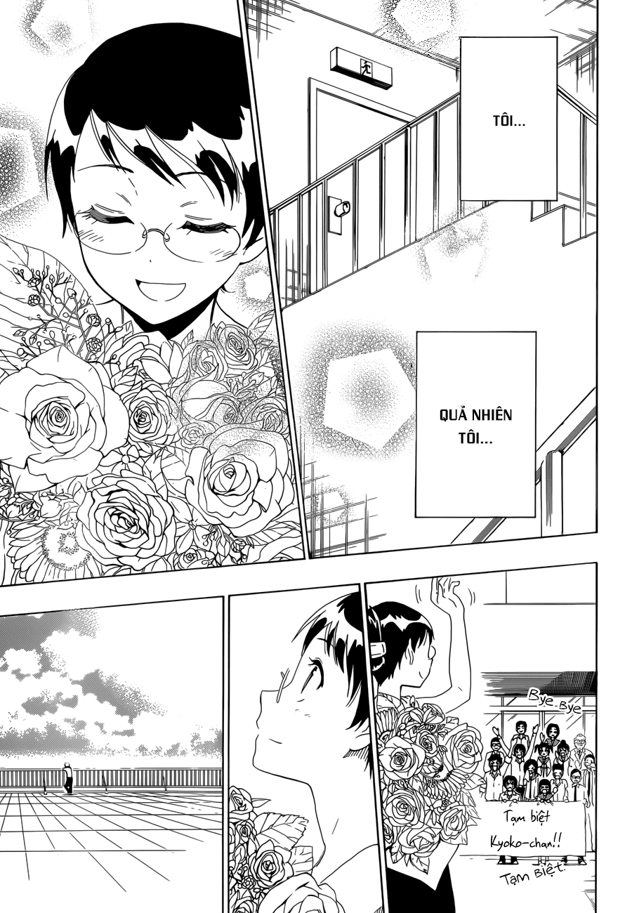 nisekoi - tình yêu giả tạo chapter 85 5