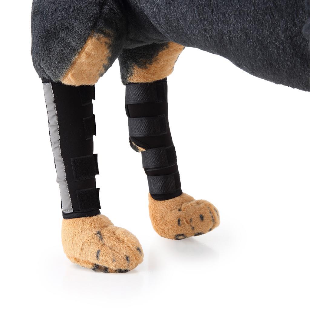 Pet Knee Pads Pet Socks