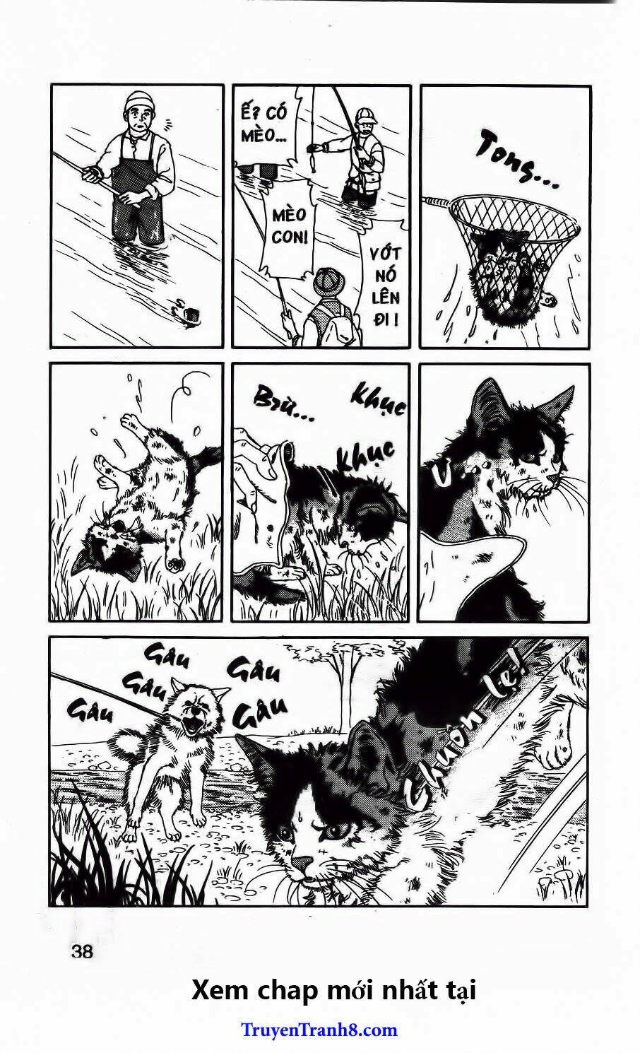 bác sĩ thú y chapter 92 17