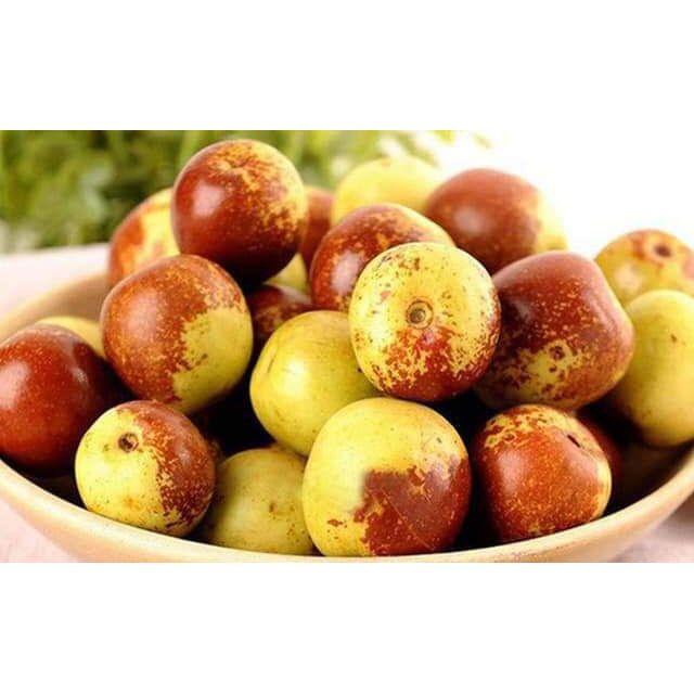 Cây Giống Hồng Táo tặng 2 cây chè xanh
