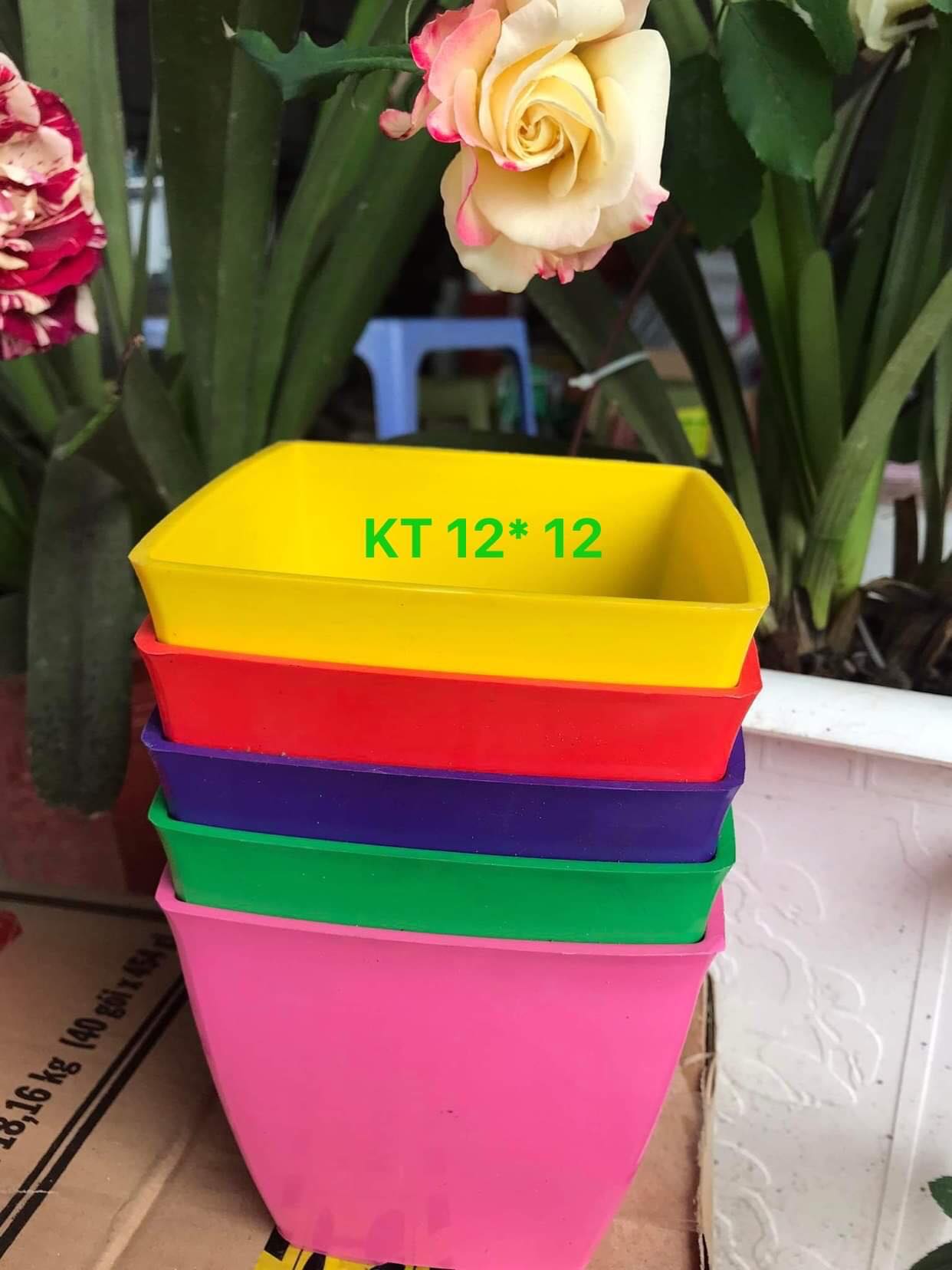Chậu nhựa vuông V12 trồng hoa cây cảnh văn phòng hàng loại 1 KT 12x12x10cm