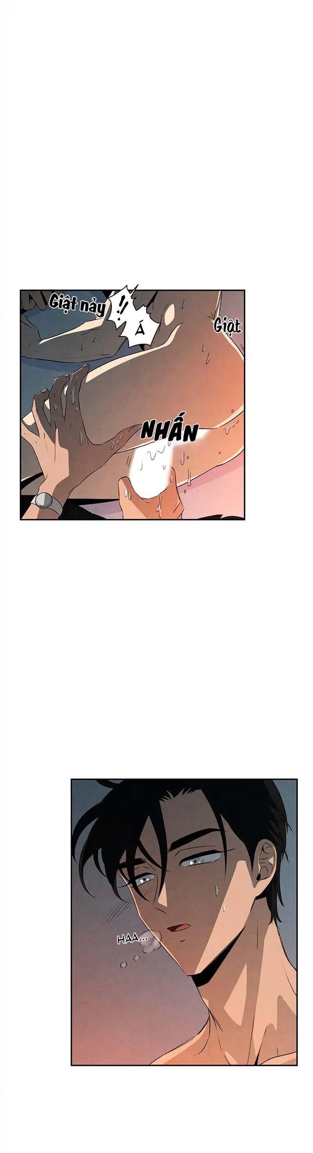 bona sort chapter 11 4