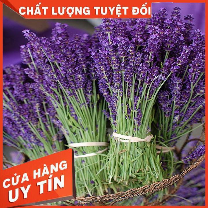 TÚI THƠM NỤ HOA OẢI HƯƠNG LAVENDER KHÔ(Mầu Tím)